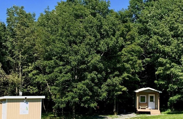 Cabin 2 -Luxury Glamping, Tiny, Cozy, romantic - c/ HotTub on Property