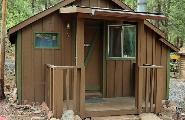 Cabin #3 - Studio with fireplace