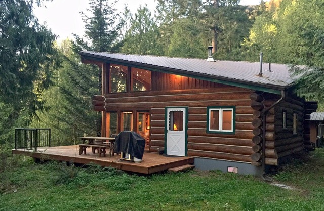 Cabine n ° 97 - Cabane à bois 'pinecone' au lac qui accepte les animaux de compagnie!