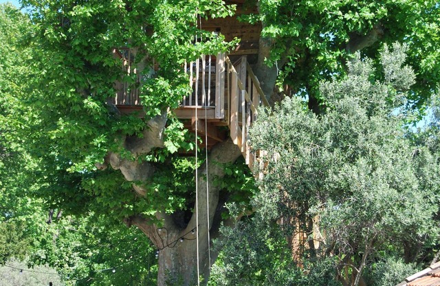 Cabane dans le platane, piscine, trampoline