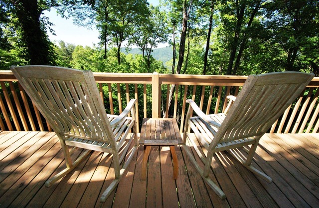 Mountain Retreat 2. 2 miles du centre-ville d'Asheville