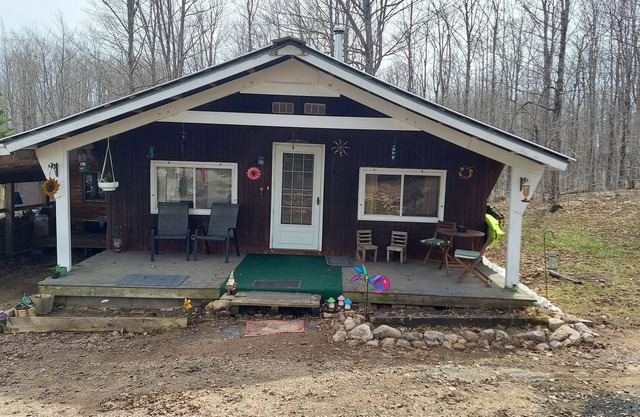 Cabin in the woods