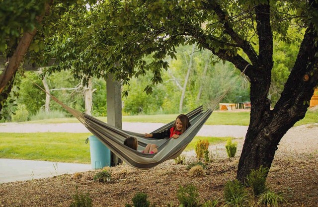 Escape to Blue Jay at Zen Zion: Stargazer’s Dream!