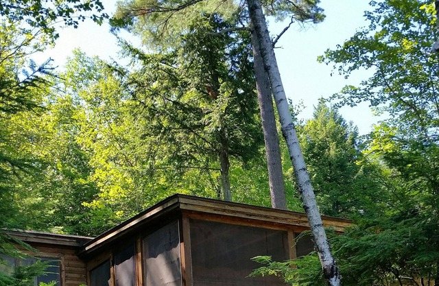 Cabine sur Long Pond, à quelques pas du lac.