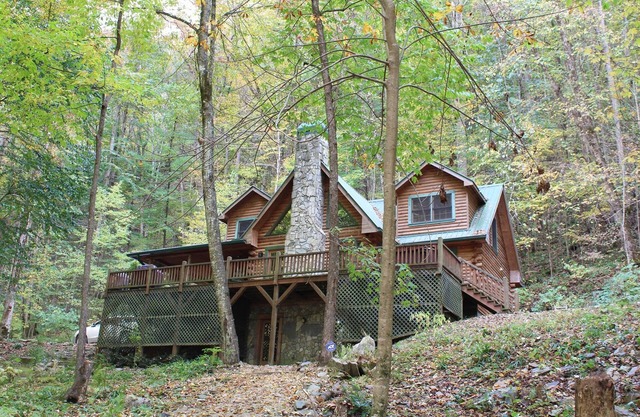 Cabin on Nantahala River! Dog-Friendly