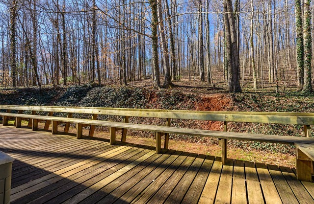 Cabin Retreat near Blueridge Mountains, scenic highway