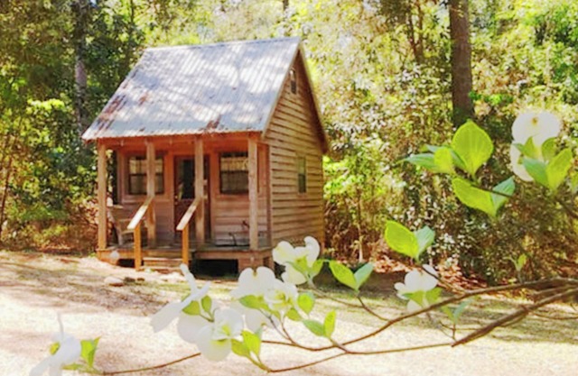 Cabin retreat on 11 wooded acres W of Alexandria; AC WiFi smart TV; 28 night min