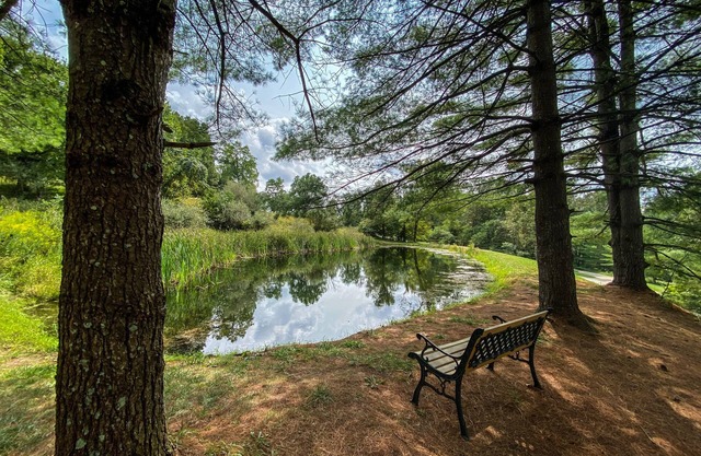 Belle cabine avec étang de pêche dans les Hocking Hills