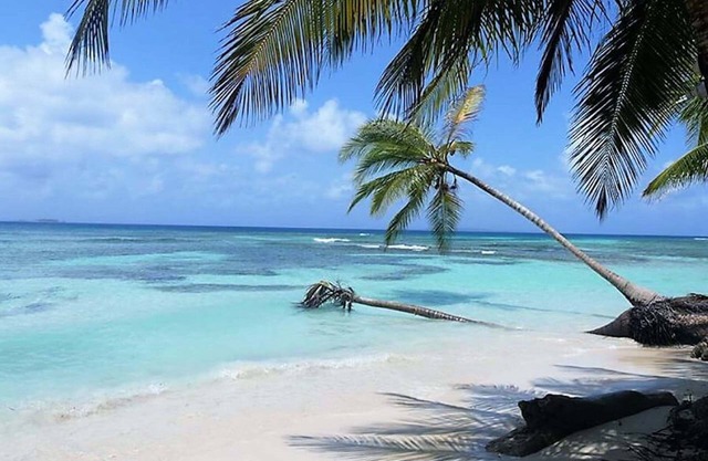 Cabins in Asserya Island - San Blas paradise - meals included