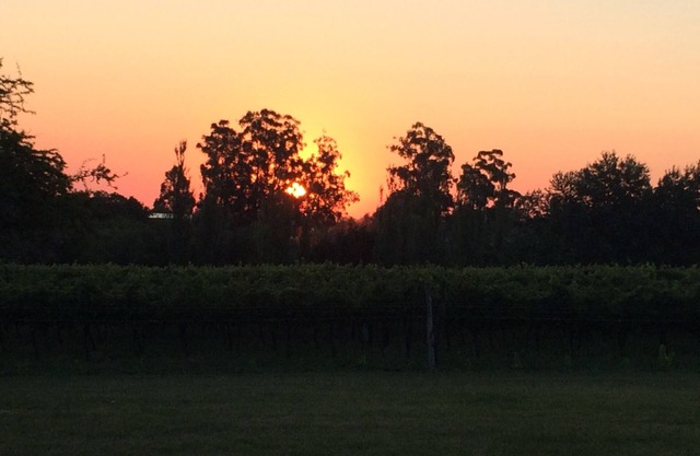 Cabanes entourées de vignobles, avec de l'histoire et quelque chose de nouveau à découvrir, beaucoup de paix