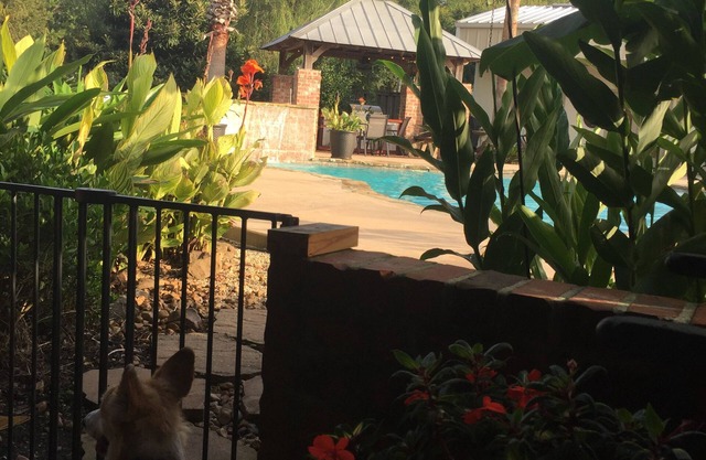 Cajun Getaway: "Home Away From Home" Un petit coin de paradis. Très relaxant.