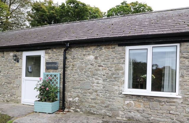 Calves Cottage, LLANDYSUL