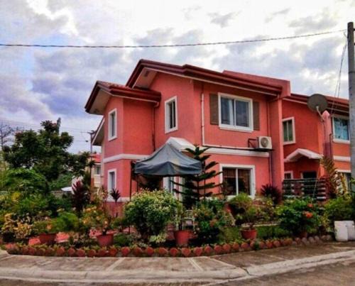 Camella gensan transient