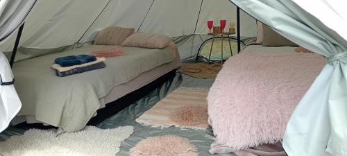 CAMP, Glamping, Tent jurta, shared outdoor kitchen and bathroom