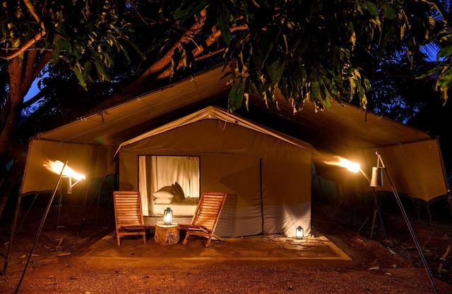 Camp Hasthi