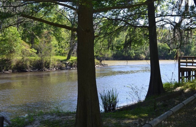 Camp sur Bayou Manchac