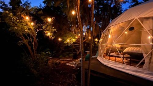 Camp Stella