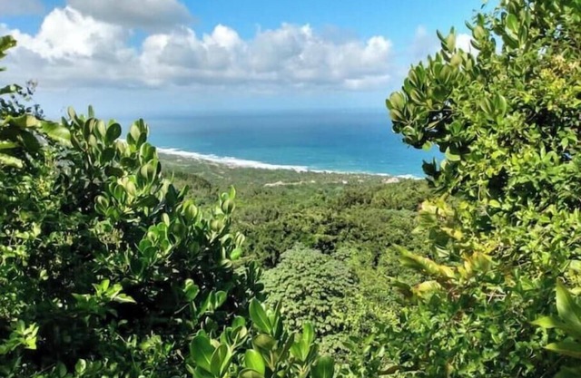 Camping Barbados - Bring Your Own Tent - Groups 2