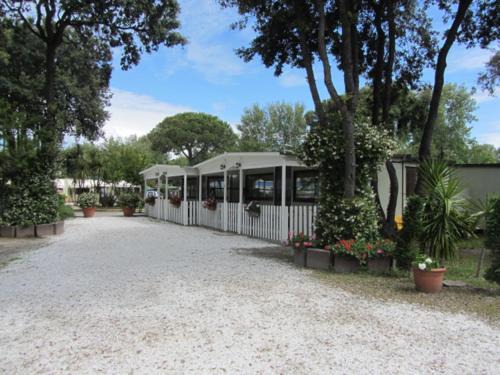 Camping Pineta