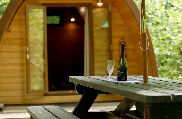 Pod-Basic-Espace sanitaire-Vue sur le bois