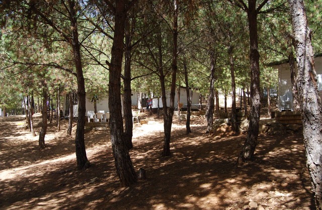 Camping ValdeArenas