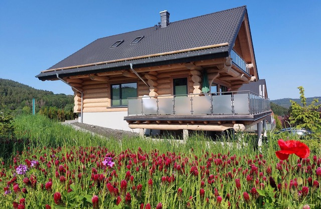 Cabanes en rondins canadiens avec vue sur le lac et le parc national / nouveau bâtiment !!!