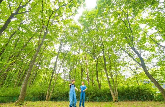 Canadian traditional house brick house surrounded - Canadian Trad House / Nasu-gun Tochigi