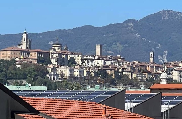 Canovine 13