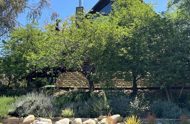 Canyon Cabin Retreat Near Beach & Trails