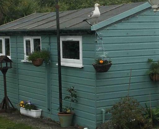Riverside Cabin