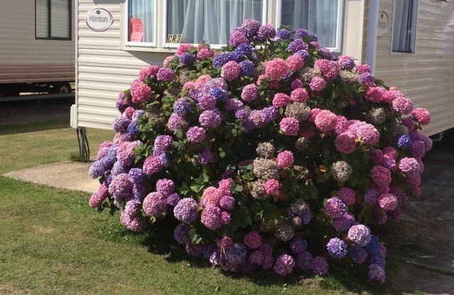 Caravane sur le parc de vacances 5 étoiles nr. Plages et New Forest