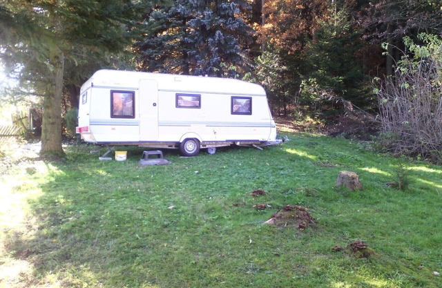 Caravane en bordure de forêt ...