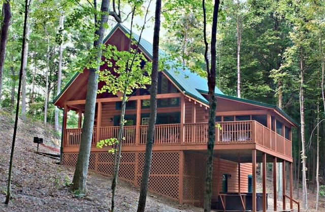 Cabane Cardinal à Hummingbird Hills (région de Hocking Hills)