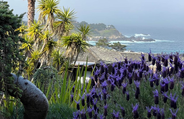 Carmel Highlands Escape secluded, stunning ocean views, newly remodeled villa