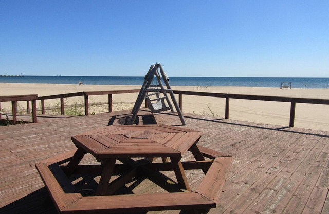 Carpe Diem 365 located on Lake Huron sandy beach!