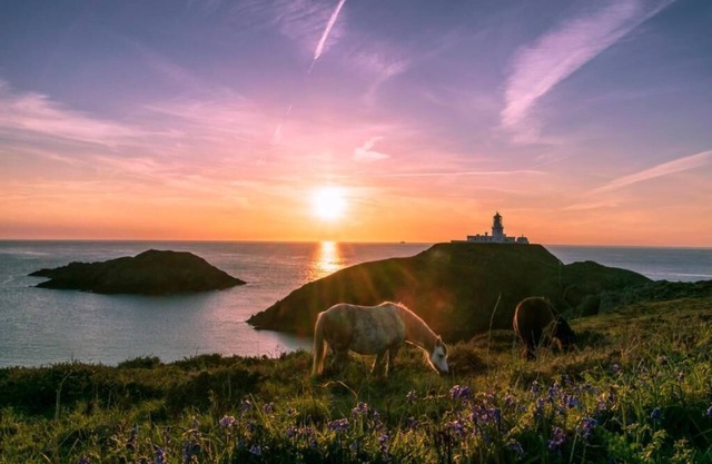 Carreg Yr Onnen - Entire House within Pembrokeshire National Park (Dog Friendly)