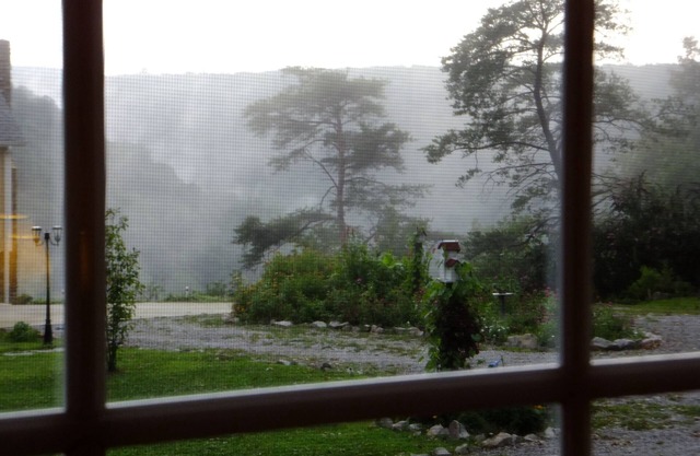 Vues Bluff;; Carriage House Trails; Animaux acceptés; Sewanee; Monteagle
