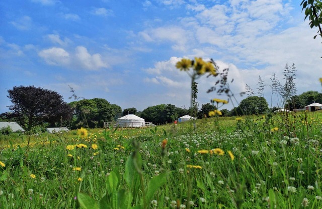 Carved Yurt - A luxury Mongolian-inspired Yurt in stunning 62 acre eco-friendly estate