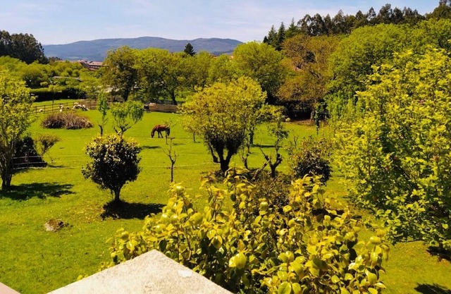 59. Villa Cañiza (319), large Finca with a natural pool
