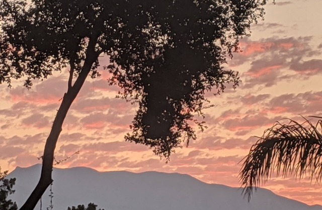 Evergreen Lodge of Ojai w Gardens Private Great Location.