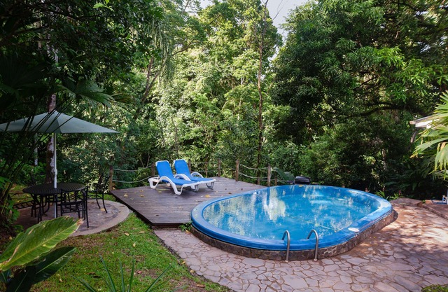 Autour de Rainforest Location de vacances