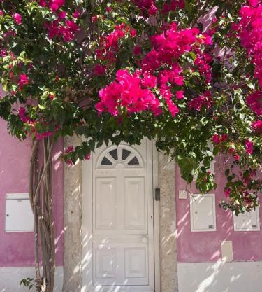 Casa Cor de Rosa