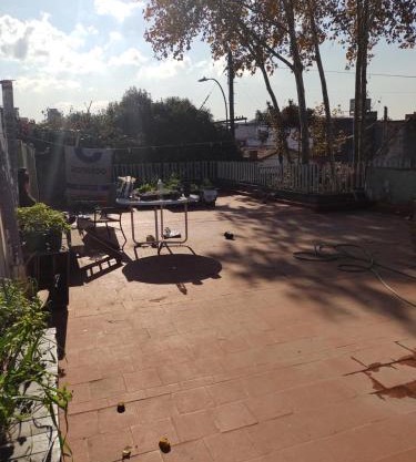 Casa del Arbol