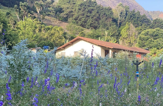 Casa das Flores