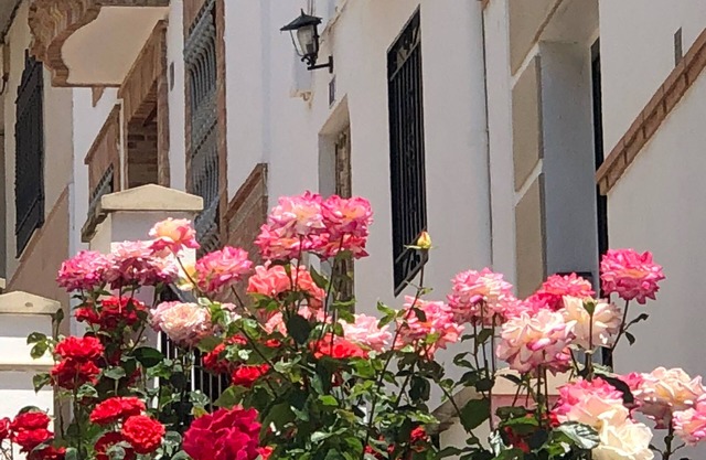 CASA DE LA CAÑADA Carchelejo (Jaén) - Espagne