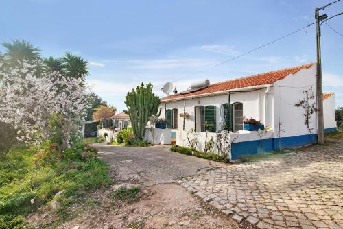 Casa Delfim - Casa Azul