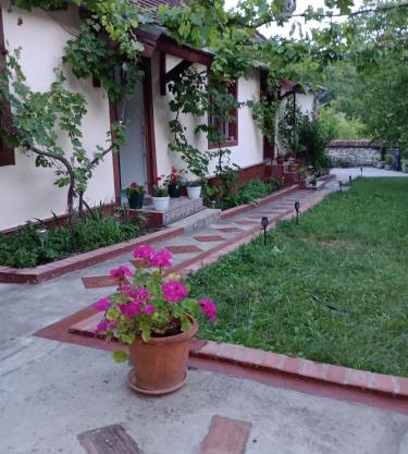 Casa Dragoi din Socolari, 218, Caras - Severin