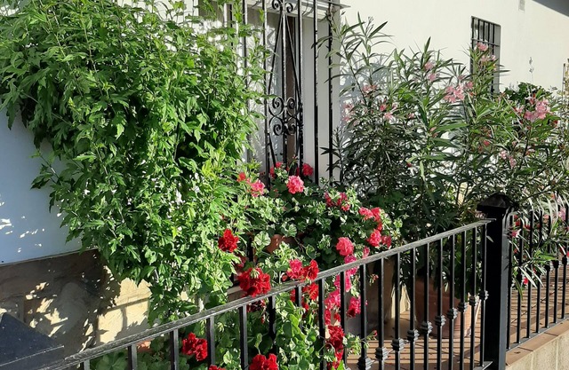 Casa Fefi. Cozy Home 3 chambres avec vue spectaculaire sur le balcon