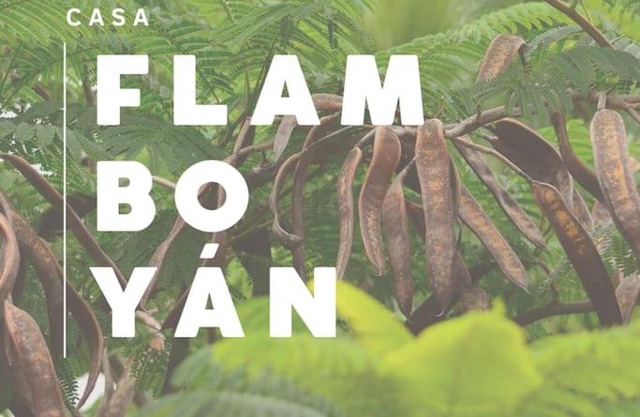 Casa Flamboyán
