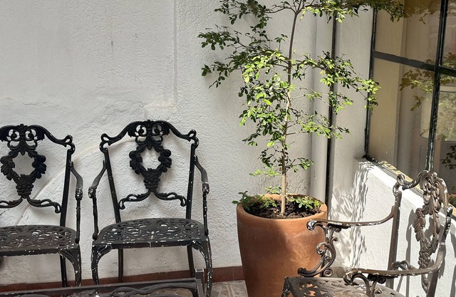 Casa Juárez en Tlaquepaque ¡a tu Familia le Encantará!